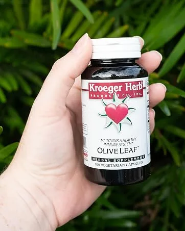 Kroeger Herb Aloe Vera Gel Inner Leaf 32 Ounce 32 Fl Oz (Pack of 1) Inner Leaf - olive leaf