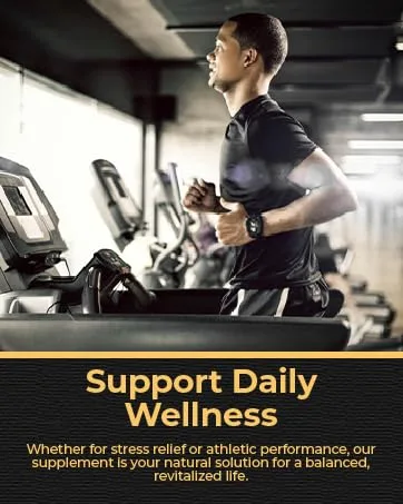 LUAL Collagen 1 & 3 + Vitamin C - Boost Skin Elasticity & Joint Health - 1 000mg 90 Tablets - support daily wellness