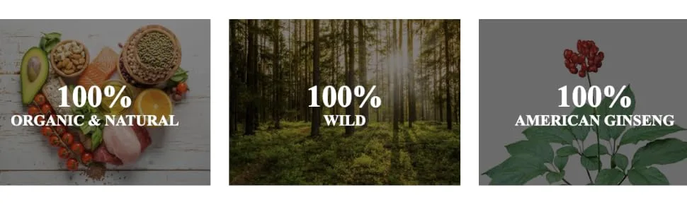 AG 100-100% Pure Wild American Ginseng Capsules - AG 100