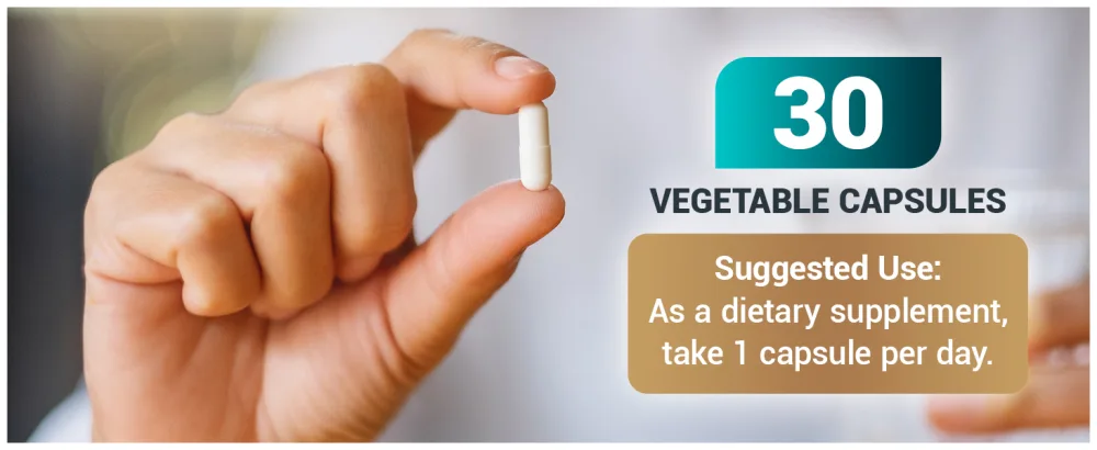 Dr. Berg TUDCA Supplement (Tauroursodeoxycholic Acid) - Powerful Formula for Liver Health Bile Flow Gallbladder Support and Digestive Health* - 30 Capsules - Dr. Berg TUDCA Supplement Premium A+ Content gut health liver health liver function digestion