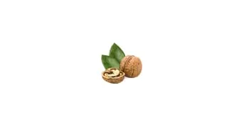 Biotique Bio Nut Detoxifying Body Scrub Ideal for Hands and Feet 175g - product information 2