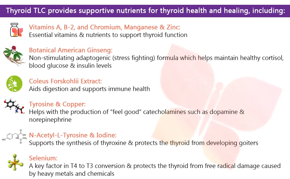 Thyroid TLC - All-in-One Thyroid Support Formula with Iodine Selenium and Maganese (120 Vegetarian Capsules) - Thyroid TLC are easy to swallow and contain powerful active ingredients