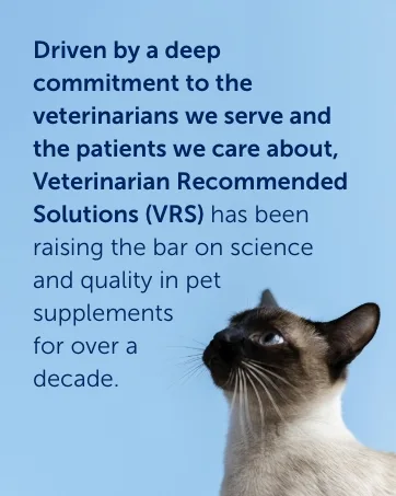 Immuno-5 Immune & Respiratory Support Powder for Cats from Veterinarian Recommended Solutions with L-Lysine Omega-3 & Egg Yolk - Driven by deep commitment to the vets we serve and the patients we care about.