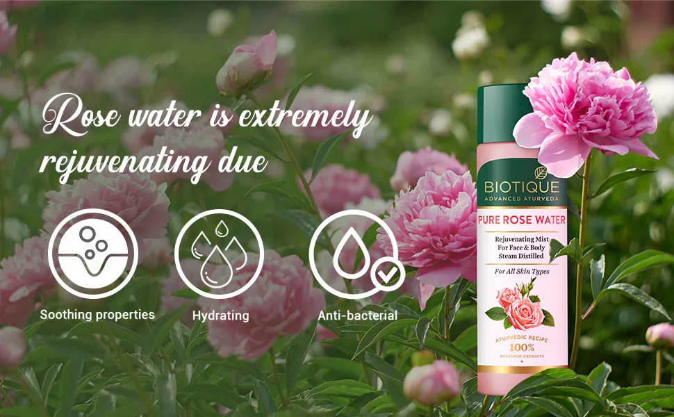 Biotique Pure Rose Water Rejuvenating Mist For Face and Body Steam Distilled for all Skin Types Rose Toner 120ml - product information 2