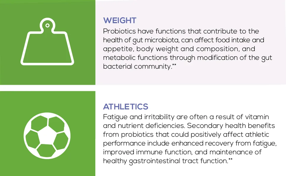 Equilibrium Probiotic Supplement with Prebiotic Daily Time Release 30 Easy to Swallow Capsules Highest Strain Count in The World 115-Strains - Equilibrium can help with endurance and fatigue while also helping control your weight