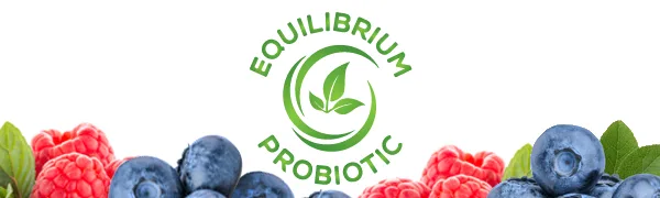 Equilibrium Probiotic Supplement with Prebiotic Daily Time Release 30 Easy to Swallow Capsules Highest Strain Count in The World 115-Strains - Equilibrium Probiotic