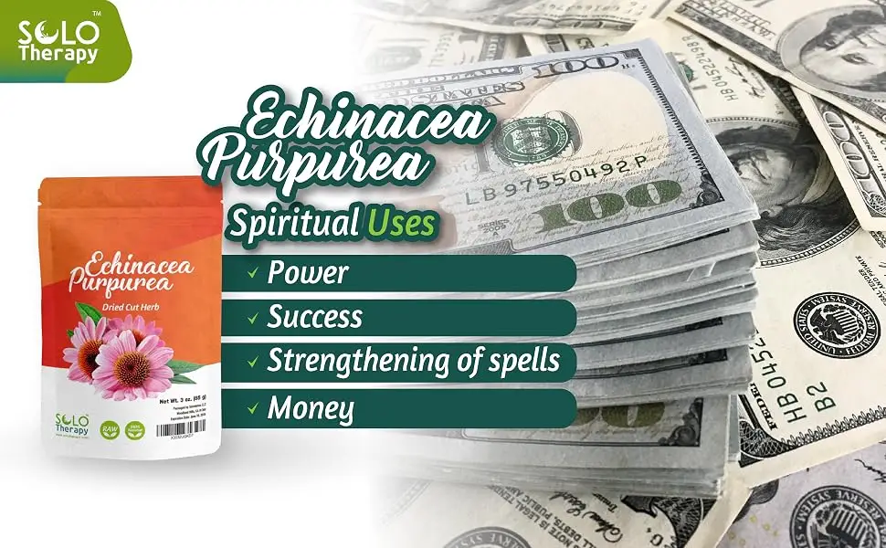 Echinacea Purpurea Herb 3 oz Echinacea Purpurea Herb Tea Dried Cut Herb Resealable Bag Premium Quality 100% Natural - ECHINACEA
