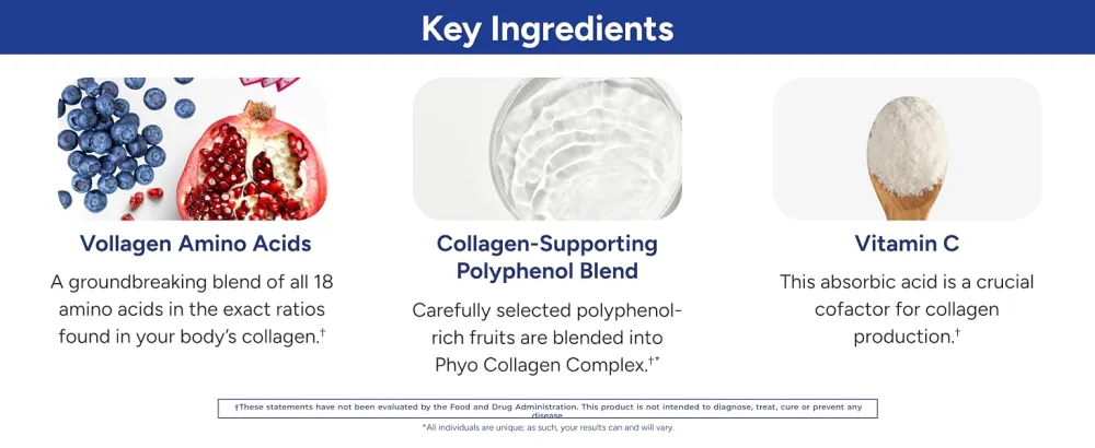 Gundry MD Phyto Collagen Complex Strength Supporting Multivitamin Powder Supplement with Vitamin C Amino Acids and Polyphenols - Strawberry Lemonade (1) - gundry md phyto collagen complex