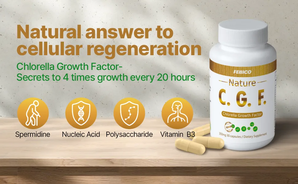 FEBICO Chlorella Growth Factor CGF Capsules 350mg 30 Count Non-GMO Vegan Supplement for Immunity & Cognitive Health Natural Spermidine Superfood - High Concentration Of Chlorella Growth Factor(C.G.F.)