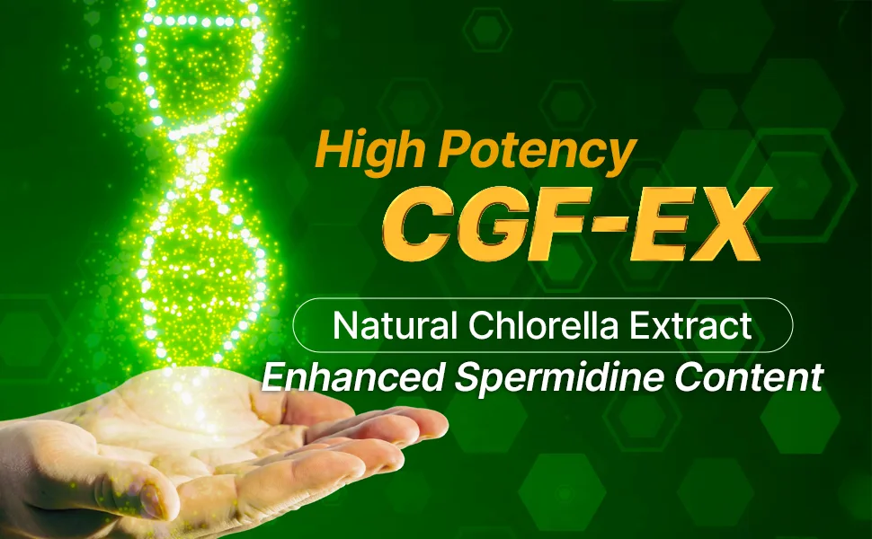 FEBICO Chlorella Growth Factor CGF Capsules 350mg 30 Count Non-GMO Vegan Supplement for Immunity & Cognitive Health Natural Spermidine Superfood - strengthens our body’s ability to recover quickly from strenuous exercise and illness.