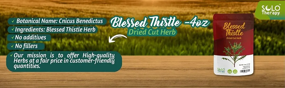 Blessed Thistle Herb 4 oz Resealable Bag Blessed Thistle Tea Cardo Bendito Holy Thistle 100% Natural Cnicus Benedictus - BLESSED THISTLE
