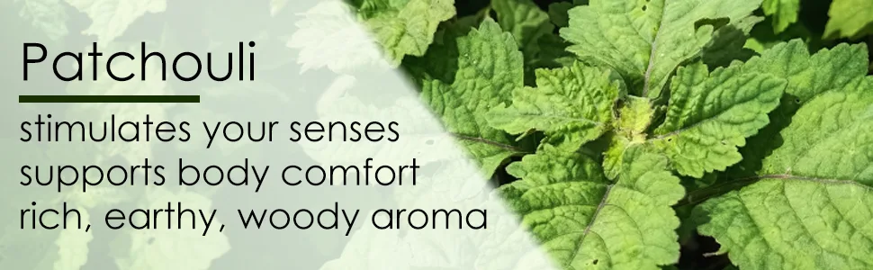 GreenHealth Patchouli Essential Oil - 10 ml (100% Pure & Uncut) - patchouli stimulate senses support body comfort rich earthy aroma masculine