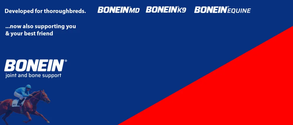 BONEIN MD Bone & Joint Support Bio-Available Red Algae Based Calcium & Strontium Dietary Supplement with Trace Minerals - Bonein joint & bone support