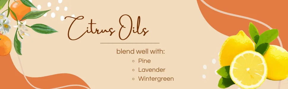 Lemon 1/6 fl oz (5 ml) Glass Bottle 100% Pure Essential Oil - GreenHealth - citrus oils powerful blend well with pine lavender wintergreen orange lemon lime