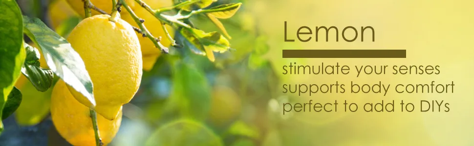 Lemon 1/6 fl oz (5 ml) Glass Bottle 100% Pure Essential Oil - GreenHealth - stimulate your senses support body comfort diy addition skincare