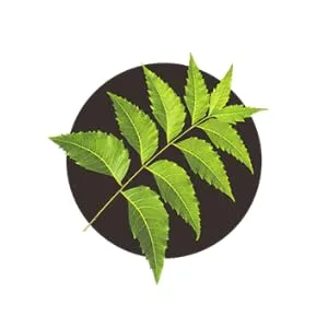 BIO NEEM Purifying Face Wash 3.38floz - product information 2