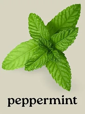 Healing Solutions Peppermint Essential Oil 16 Fl Oz Pure Peppermint Oil for Diffusers Candles DIY Blends and Home Fragrance - product information 5