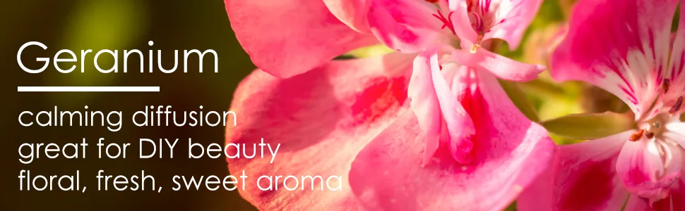 100% Pure Essential Oil- Geranium 10ml by Greenals - geranium essential oil calming diffusion great for diy beauty floral fresh sweet aroma