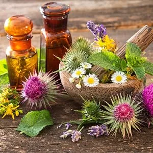 Nature's Answer Milk Thistle Seed with Organic Alcohol 1-Fluid Ounce - Nature's Answer, Low Organic Alcohol, Liquid Herbal Extract, Concentrated, Holistically Balanced