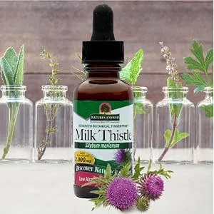 Nature's Answer Milk Thistle Seed with Organic Alcohol 1-Fluid Ounce - Nature's Answer, Milk Thistle, Low Alcohol, Concentrated, Healthy Liver Function, Gluten Free