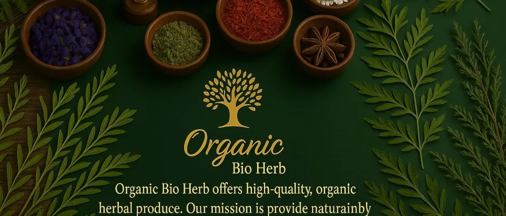 Organic Bio Herbs-Organic Dried Elderberry Fruit (Sambucus Nigra) 6 Oz. 6 Ounce - product information 1