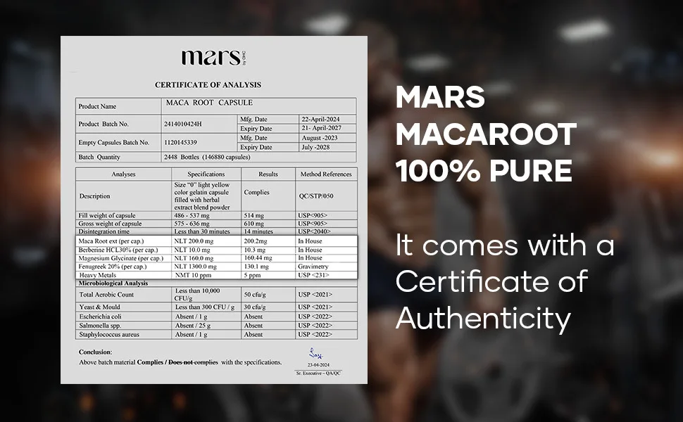 mars by GHC Maca Root Capsules with Ginseng Magnesium & Berberine | Supports Vitality & Overall Well-Being | Pack of 3 | 180 Capsules - mars by GHC Maca Root Berberine and Magnesium Glycinate in Mars Maca Root capsules