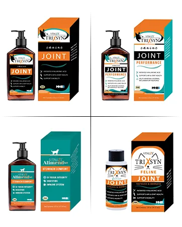 BAXYL & BaxylGI Bundle Pack - (6 fl oz Each) - Hyaluronic Acid Joint Supplement & Hylarunonan Amaferm Prebiotic Digestive Supplement. - biozyme