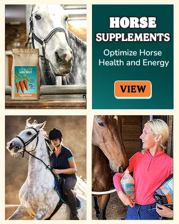 BAXYL & BaxylGI Bundle Pack - (6 fl oz Each) - Hyaluronic Acid Joint Supplement & Hylarunonan Amaferm Prebiotic Digestive Supplement. - biozyme supplement