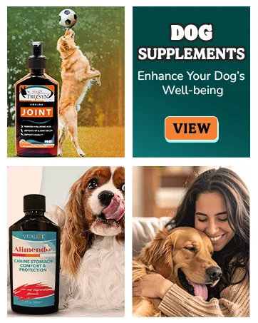 BAXYL & BaxylGI Bundle Pack - (6 fl oz Each) - Hyaluronic Acid Joint Supplement & Hylarunonan Amaferm Prebiotic Digestive Supplement. - dog supplements