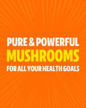 FreshCap Mushrooms Energy Bundle (Cordyceps Powder and Ultimate Mushroom Complex Powder) - Freshcap Mushrooms, functional mushrooms, over 6000 Amazon reviews, mushroom gill pattern, orange