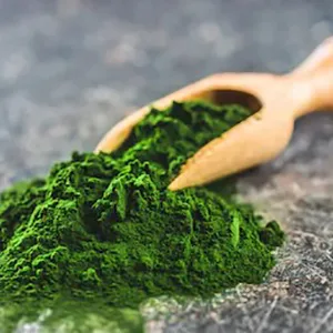 NutreeVit Pure 100% Organic Spirulina + Chlorella + Wheatgrass - Powerful Superfood - Veggie Capsules | 500mg 240 Count (Pack of 1) - Chlorella