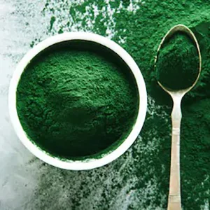 NutreeVit Pure 100% Organic Spirulina + Chlorella + Wheatgrass - Powerful Superfood - Veggie Capsules | 500mg 240 Count (Pack of 1) - Spirulina