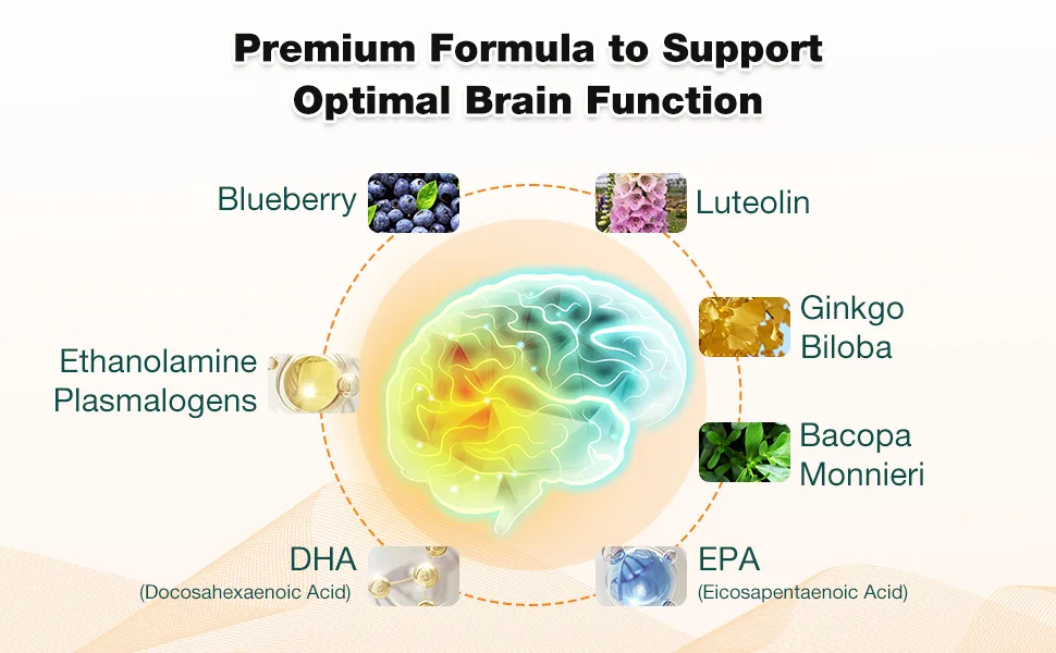 ZenixZephir Memory Focus Supplement - Brain Support with Omega-3 Bacopa and Plasmalogens for Enhanced Cognitive Function - Concentration and Memory - Non-GMO 60 Softgels - INGREDIENT