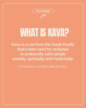 Bashi - Kava Drink Experience - Natural Relaxation & Stress Relief - Plant-Based Kava Extract - Non-Alcoholic Caffeine Free - Peach Mango 8oz - 6 Pack - Drink Experience Natural Relaxation Stress Relief Plant-Based Extract Caffeine Blueberry Lemon
