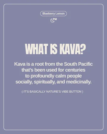 Bashi - Kava Drink Experience - Natural Relaxation & Stress Relief - Plant-Based Kava Extract - Non-Alcoholic Caffeine Free - Blueberry Lemon 8oz - 6 Pack - Drink Experience Natural Relaxation Stress Relief Plant-Based Extract Caffeine Blueberry Lemon