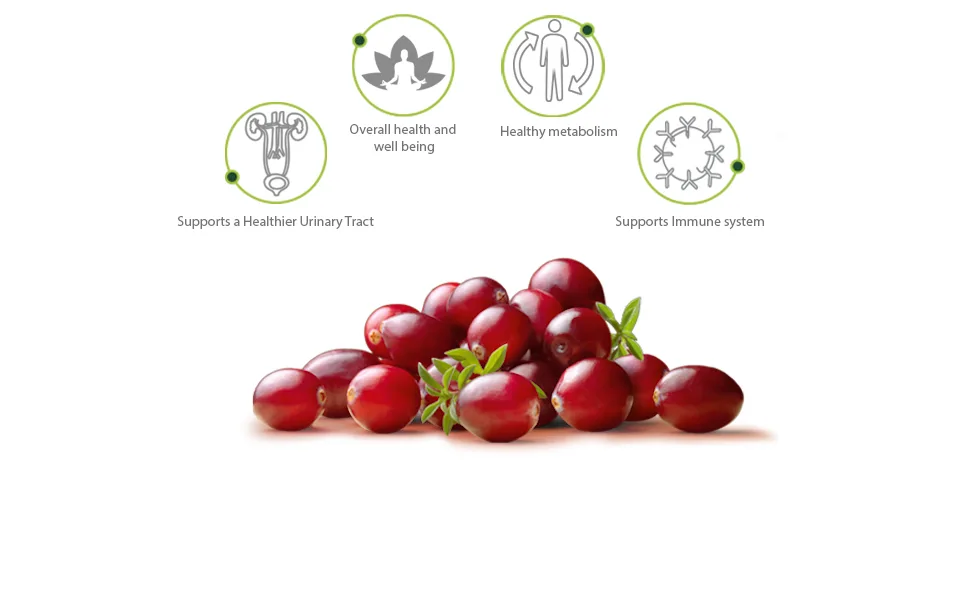 Herbal Secrets Cranberry Extract 475 Mg 120 Capsules - Cranberry