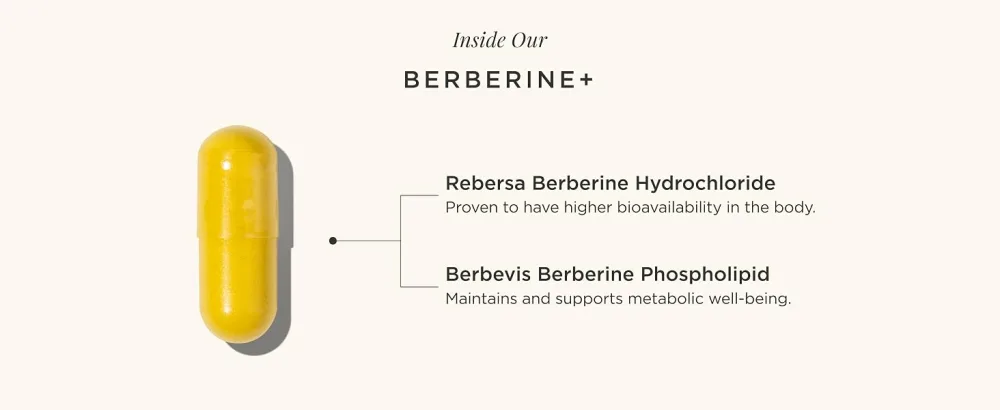 JSHealth Vitamins Berberine+ Formula Berberine Supplement for Metabolic Health Vegan Gluten-Free & Non-GMO. (60 Tablets) - berberine