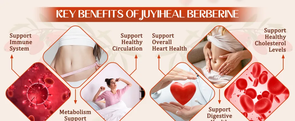 JUYIHEAL 2Pack Berberine with Ceylon Cinnamon Turmeric Milk Thistle Artichoke Black Pepper Berberine Supplement for Support Immune System - 120 Capsules Berberine HCI - Premium Berberine