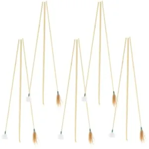 Hoement 5sets Ear Wax Removal Tools Professional Ear Cleaning Kit Ergonomic Design for Safe and Comfortable Earwax Removal Lightweight and Portable - product information 3