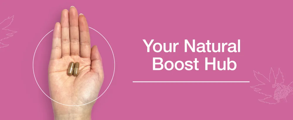 NATUREBULK Valerian Root Capsules -Equivalent to 1 0000mg 4X Concentrated Extract - Highly Concentrated 120 Capsules - valerian root caps