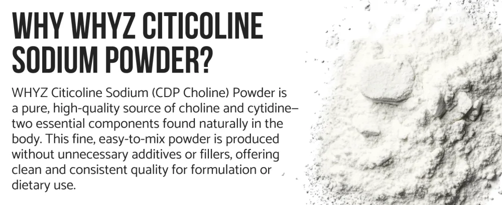 Pure Citicoline CDP Choline Powder Unflavored Choline Supplement for Focus Memory & Cognitive Support Smooth Mixing Non-GMO Vegan No Additives 40 g - cdp-choline supplemen