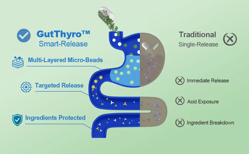 Thyroid Support Supplement for Women 120 Capsules - Smart-Release Micro-Beads with ThyroSynth & GutThyro - Advanced Thyroid Complex Ashwagandha Marine Collagen & 20B CFU Probiotics - 1 Bottle 120 Count (Pack of 1) - thyroid