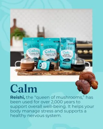FOUR SIGMATIC Organic Cordyceps & Chaga Mix 0.09 OZ 0.09 Ounce (Pack of 1) - Calm