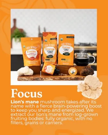 FOUR SIGMATIC Organic Cordyceps & Chaga Mix 0.09 OZ 0.09 Ounce (Pack of 1) - Focus