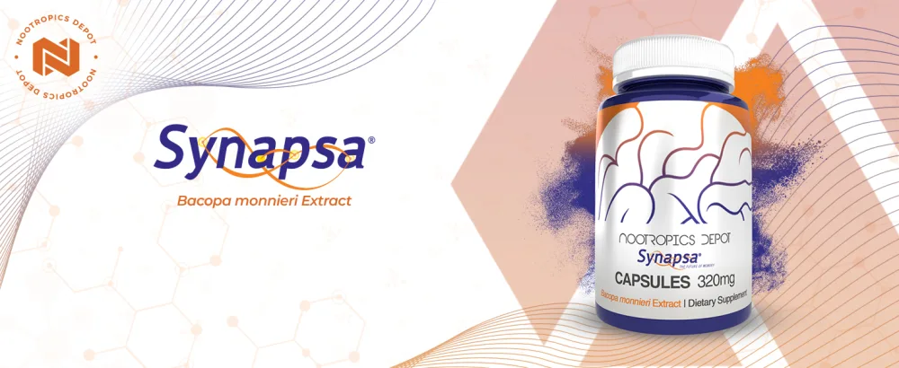 Nootropics Depot Synapsa Bacopa Monnieri Capsules | 320mg | 60 Count | Whole Plant Extract | Ayurveda Supplement | Adaptogen Herb | to Enhance Learning Memory & Mental Performance 60 Count (Pack of 1) - product information 1