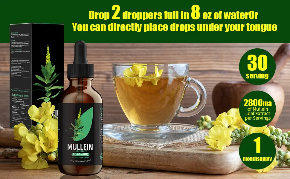 Mullein Leaf Extract - Support Lung Cleanse & Respiratory Function for Healthy Breathing - Natural Supplement Tincture Drops | Non-GMO Vegetarian | 1 Month Supply 2 Fl Oz (Pack of 1) - mullein drops for lungs