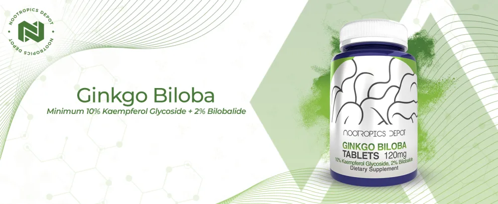 Nootropics Depot Ginkgo Biloba Extract Tablets | 120mg | 90 Count | Minimum 10% Kaempferol Glycoside + 2% Bilobalide | May Help Promote Cognitive & Cardiovascular Function 90 Count (Pack of 1) - product information 1