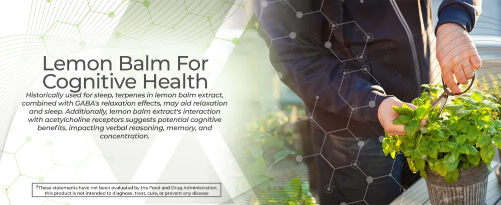 Nootropics Depot Lemon Balm Extract Tablets | 500mg | 120 Count | 10:1 Water Ethanol Extract - product information 6