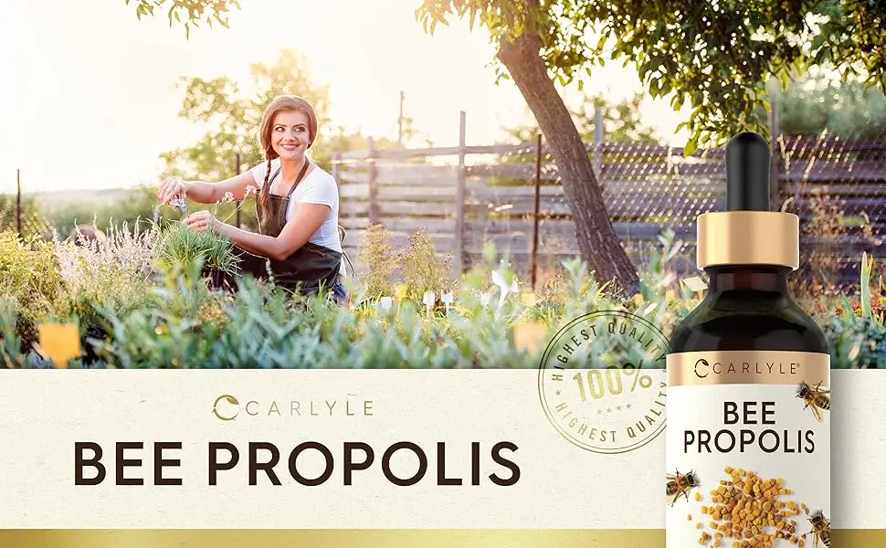 Carlyle Bee Propolis Tincture Drops | 2 Fl Oz | Liquid Extract | Non-GMO Gluten Free Supplement - CL25111