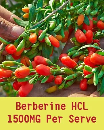 NEVISS Berberine Supplement 1500mg 60 Count (Pack of 2) - berberine ampk